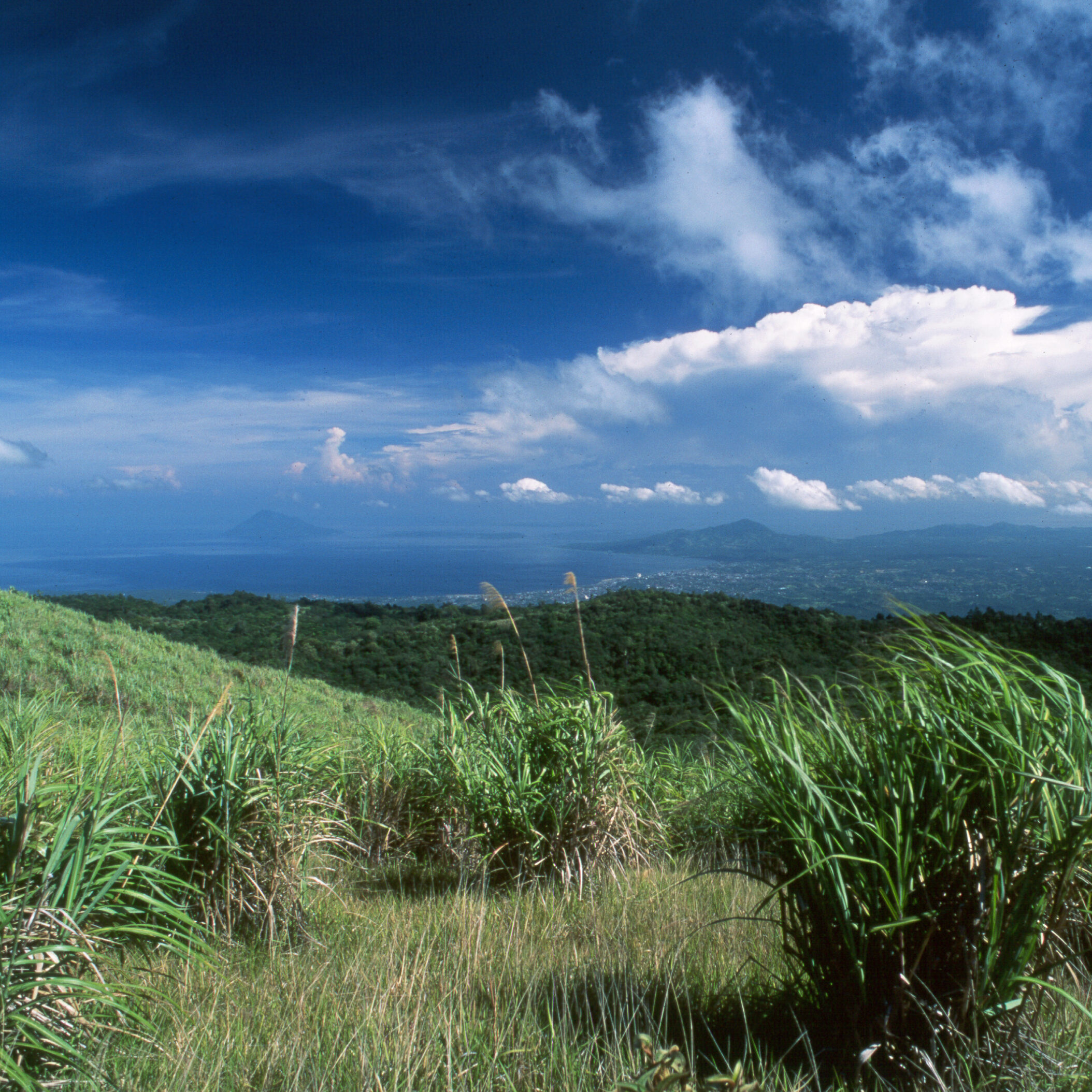 Manado north sulawesi